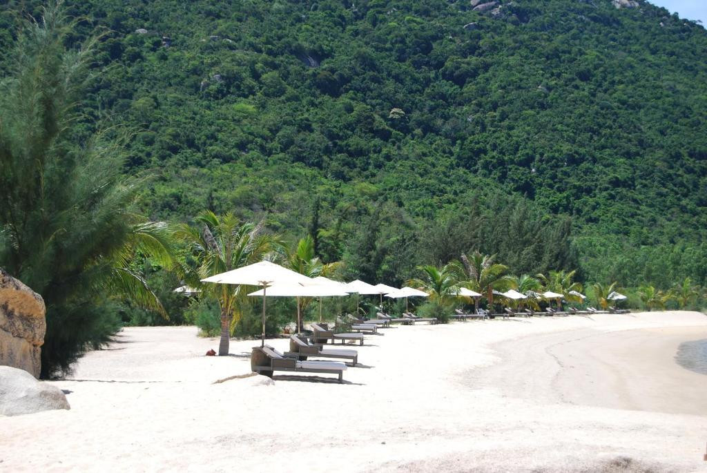 L'ALYA NINH VAN BAY