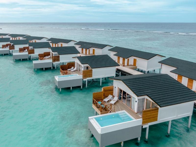 JOY ISLAND