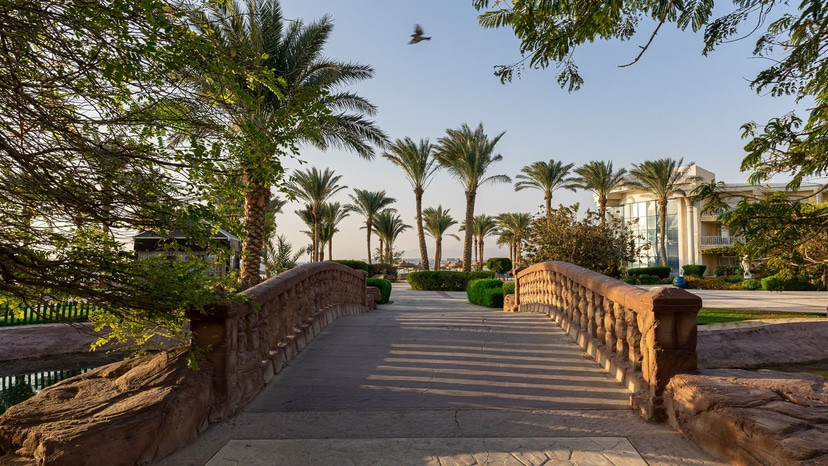 PALM ROYALE SOMA BAY