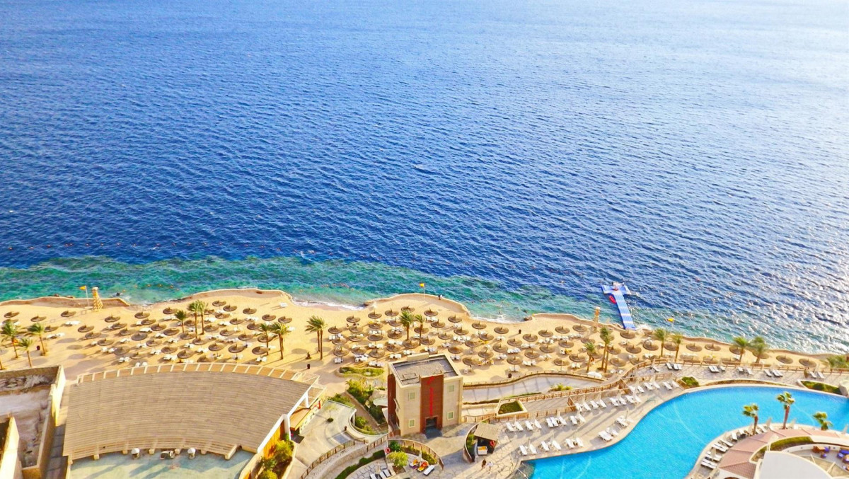 REEF OASIS BLUE BAY