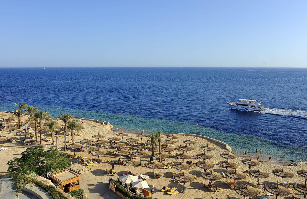 REEF OASIS BLUE BAY