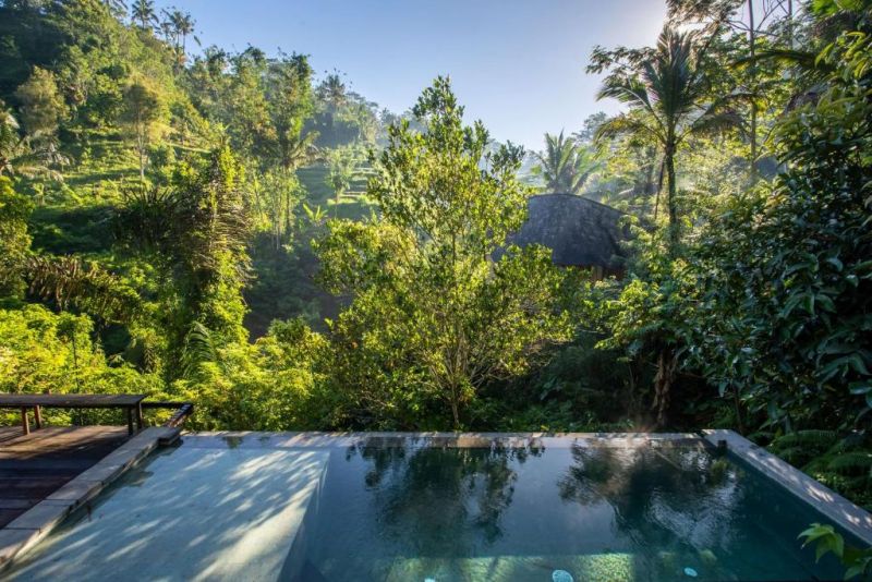 BUAHAN A BANYAN TREE ESCAPE ADULTS ONLY 18+